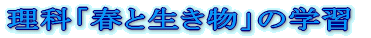 5/18ij}Hȁ@uȂƂȂ悵v 
